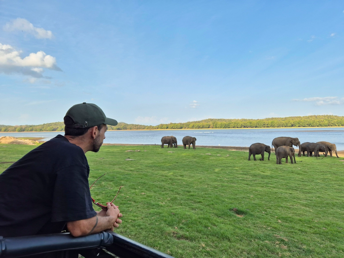 Parque Nacional Minneriya yo contemplo elefantes