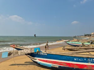 negombo sri lanka