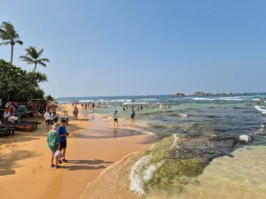 playa turtle beach hikkaduwa