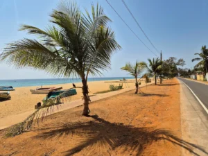 Playa de Kattankudi, carretera y palmeras de día
